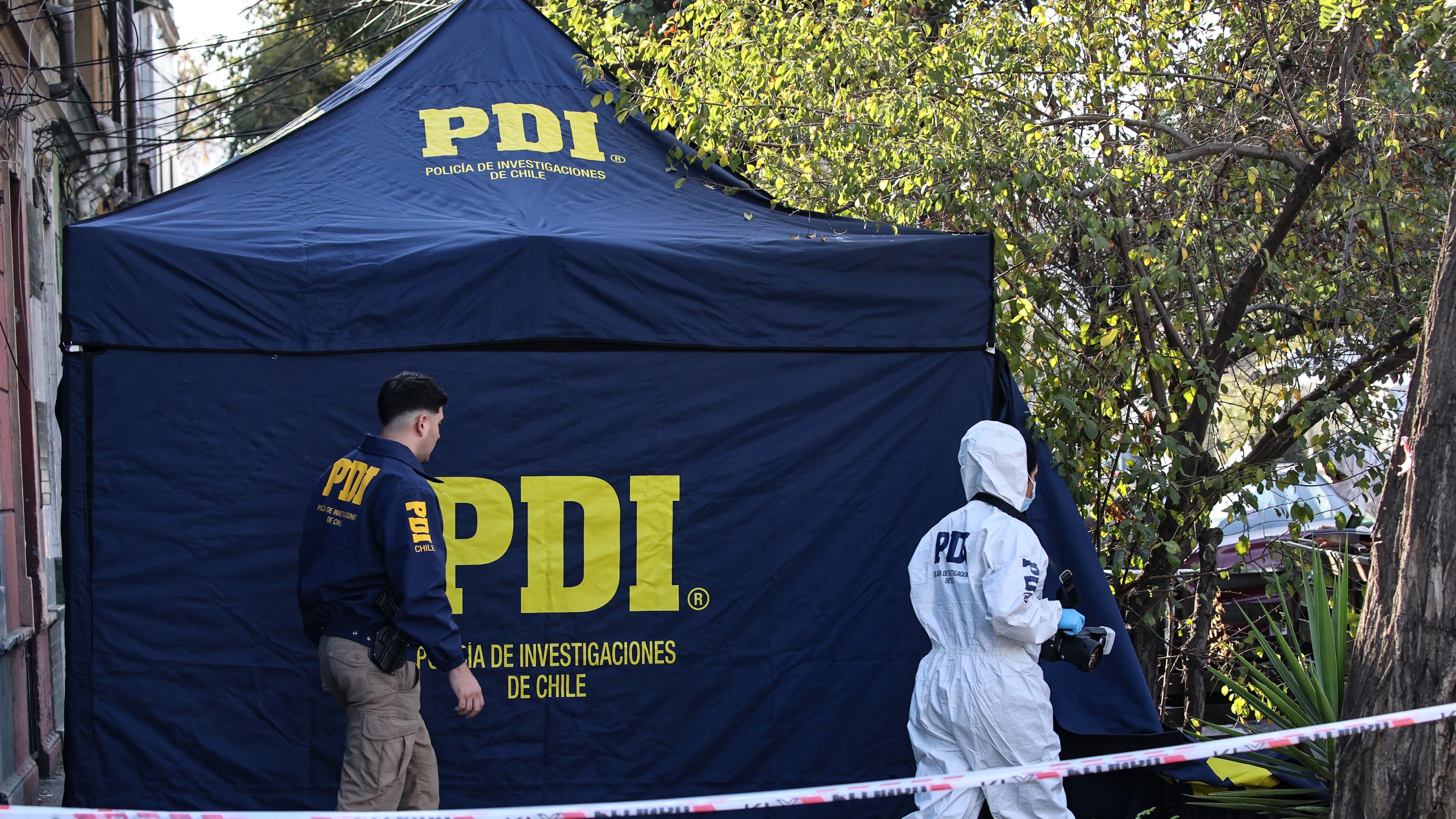 DPR del Biobío reporta un fallecido por caída de árbol en Negrete en medio del sistema frontal