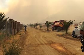 Incendio forestal “El Pimiento” en Melipilla y Padre Hurtado ha afectado 300 hectáreas de terreno y sigue en combate