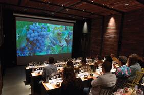 Vinolia, una viña virtual