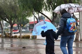Gobierno amplía suspensión de clases desde Atacama hasta La Araucanía y reporta 535 mil personas sin luz por sistema frontal
