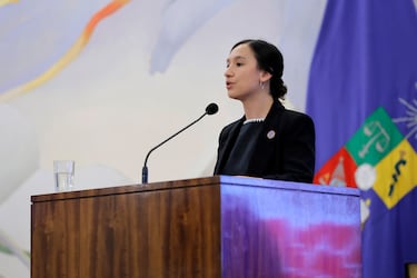 “Es necesario dejar ideologías de lado”: exsubsecretaria de DD.HH. cuestiona despidos en el Plan Nacional de Búsqueda