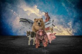 La vida interior de los animales: ¿Qué sienten cuando sienten?