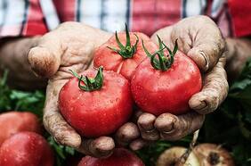 Fact Checking: ¿Contagios de Covid-19 se reducen un 92%? ¿Comer este alimento a diario puede ser peligroso?