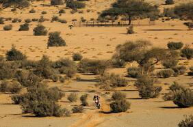 Pablo Quintanilla le dice adiós al Dakar 2025 tras sufrir un duro accidente