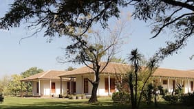 Casa Donoso: celebra el Día del Padre con un 40% de descuento en vinos seleccionados