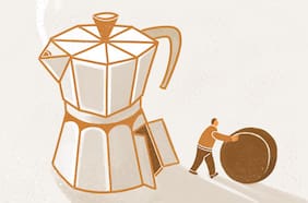 Guía para utilizar los residuos del café