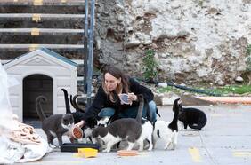 Mi mascota y yo: la heroína de los gatos callejeros