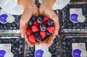 La OPA por Hortifrut ya alcanza el 32% de las acciones y está a punto de declararse exitosa