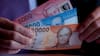 La reconversión del dinero: ¿Qué hace el Banco Central con los billetes deteriorados y las monedas descartadas?