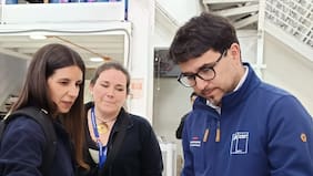 Clausuran e instruyen sumario sanitario a supermercado chino en Santiago: vendían aves exóticas, tortugas y pulpos mal faenados