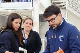 Clausuran e instruyen sumario sanitario a supermercado chino en Santiago: vendían aves exóticas, tortugas y pulpos mal faenados