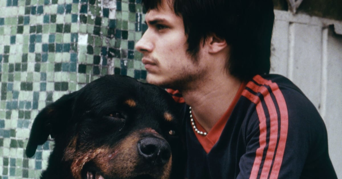 Los 25 años de Amores Perros en voz de sus mentores: “Hay un músculo que no ha envejecido”