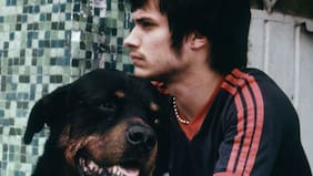 Los 25 años de Amores Perros en voz de sus mentores: “Hay un músculo que no ha envejecido”