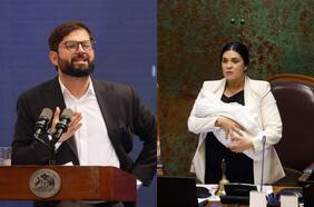 Caso Cariola: inapropiada intervención del gobierno