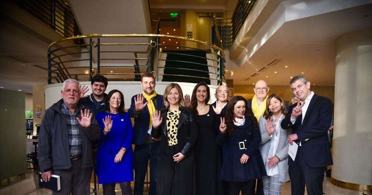 Amarillos respalda a Evelyn Matthei: ¿un giro estratégico o una apuesta a lo seguro?