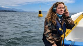 La bióloga marina que usa inteligencia artificial para proteger a las ballenas
