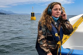 La bióloga marina que usa inteligencia artificial para proteger a las ballenas