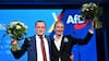 AfD logra hasta 44,5% en las elecciones de Sajonia-Anhalt y queda cerca de la mayoría absoluta, según sondeos