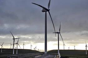 Melón inicia uso de energía 100% renovable en sus operaciones