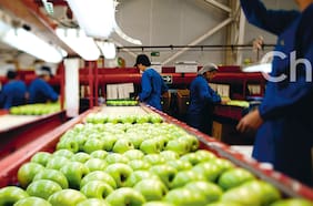 Dos décadas de bonanza: cómo la firma del TLC hizo crecer las exportaciones chilenas