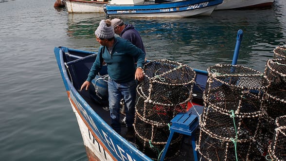 Contraloría arremete contra resolución de Subpesca de 2025 vinculada a Ley de Fraccionamiento: “No se ajustó a derecho”