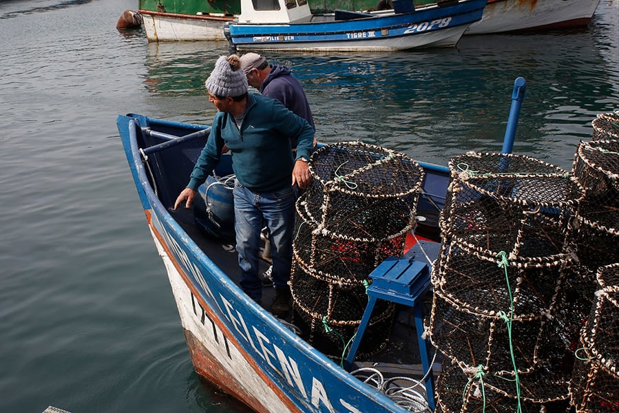 Contraloría arremete contra resolución de Subpesca de 2025 vinculada a Ley de Fraccionamiento: "No se ajustó a derecho"