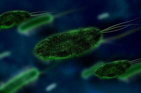 Científicos descubren 10 mil desconocidos virus en pañales de un bebé: ¿qué tan terrorífico es?