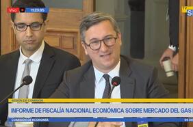 Fiscal nacional económico afirma que recomendaciones de 2021 permitirían lograr un “precio justo” en el mercado del gas licuado