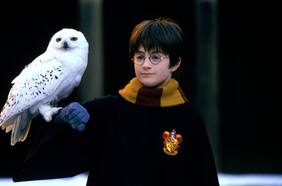 Volver a 2001 con el joven mago: Harry Potter y la Piedra Filosofal regresa a los cines chilenos