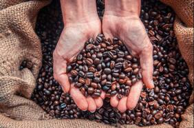 El repunte del café se volverá ‘violento’ ante heladas en Brasil