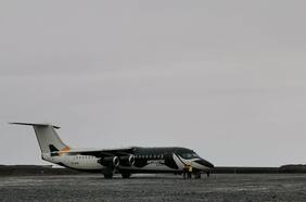 Bitácora de un científico en la Antártica: ¡Déjalos, son como niños!