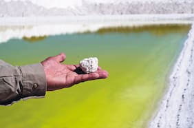 Industria del litio y Codelco arremeten contra iniciativa del gobierno para declarar áreas protegidas en Salar de Atacama