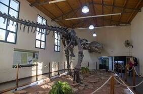 El museo donde puedes ver el dinosaurio carnívoro más grande del mundo