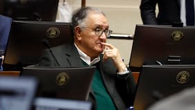 Senador Huenchumilla y reforma constitucional de seguridad: “El diseño que hizo el ministro Arrau simplemente es un desastre”