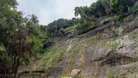 Así es “El Milagro”, el nuevo oasis natural en Parque Tricao que se suma a sus atracciones