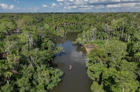 Estudio afirma que emisiones de carbono de selva amazónica se dispararon durante gobierno de Bolsonaro