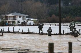 Senapred solicita evacuar sectores de Arauco por desborde del río Pichilo