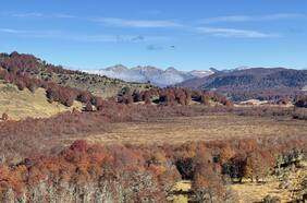 Congreso da luz verde a la ley de protección ambiental de turberas