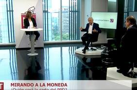 Mirando a La Moneda: ¿Quién será la carta del PPD?