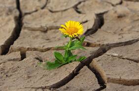 Estudio detecta los tres factores que han funcionado para combatir las sequías en Chile