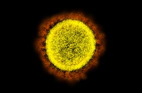 ¿Por qué hay tantas subvariantes nuevas de Ómicron, como BA.4 y BA.5? ¿Me reinfectaré? ¿El virus está mutando más rápido?