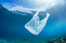 Día Internacional Sin Bolsas Plásticas: ¿Estamos cambiando de hábitos o solo de residuos?