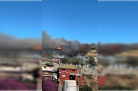 Ordenan evacuación de sectores de Cerro Cordillera en Valparaíso por incendio: hay once casas afectadas