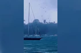 Un tornado hace “llover” peces en isla Guadalupe