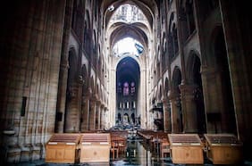 Columna de Marisol García: Sonidos en peligro de extinción