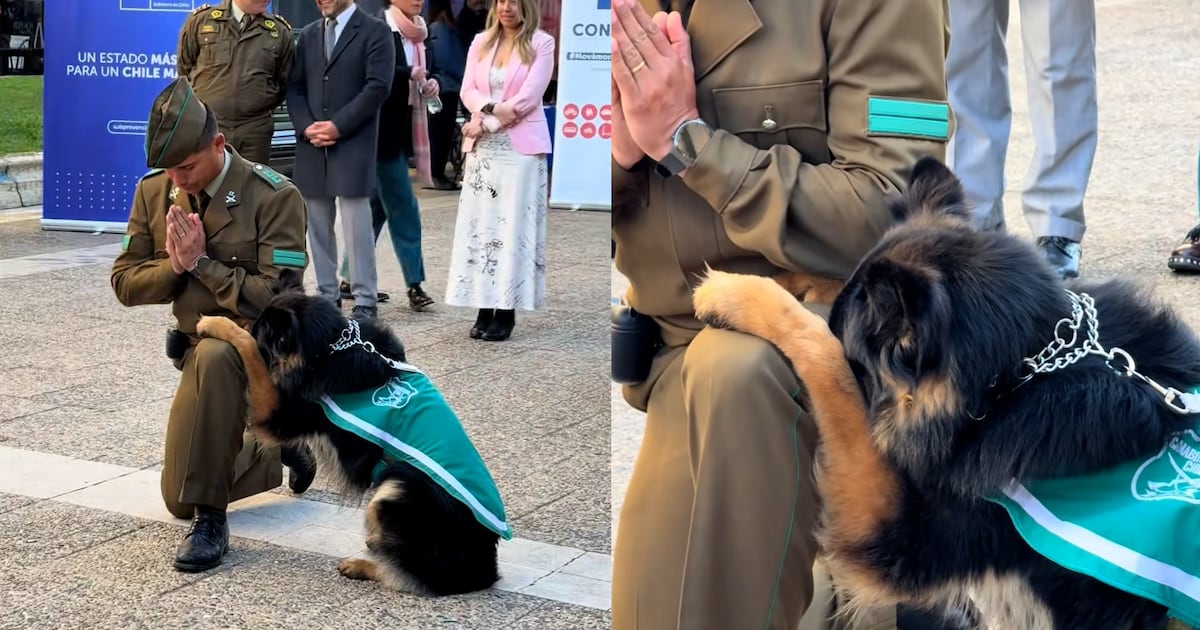 Captan a un perrito de Carabineros rezando por sus colegas peludos que ya se fueron