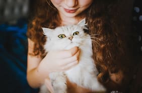 Y así quieren que los elijan