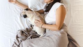 ¿Team dormir con mascotas o cada uno en su cama?