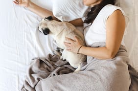 ¿Team dormir con mascotas o cada uno en su cama?
