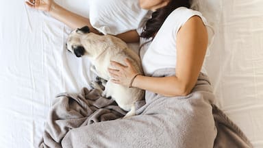 ¿Team dormir con mascotas o cada uno en su cama?
